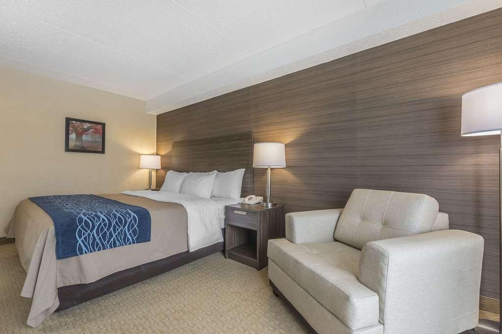 Comfort Inn Lévis Cameră foto