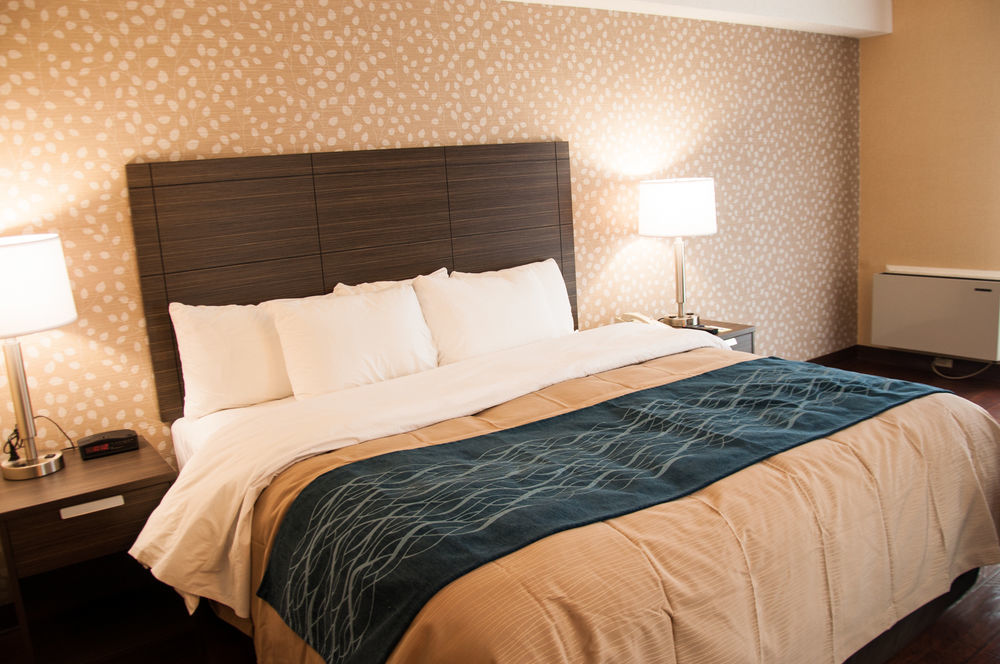 Comfort Inn Lévis Exterior foto